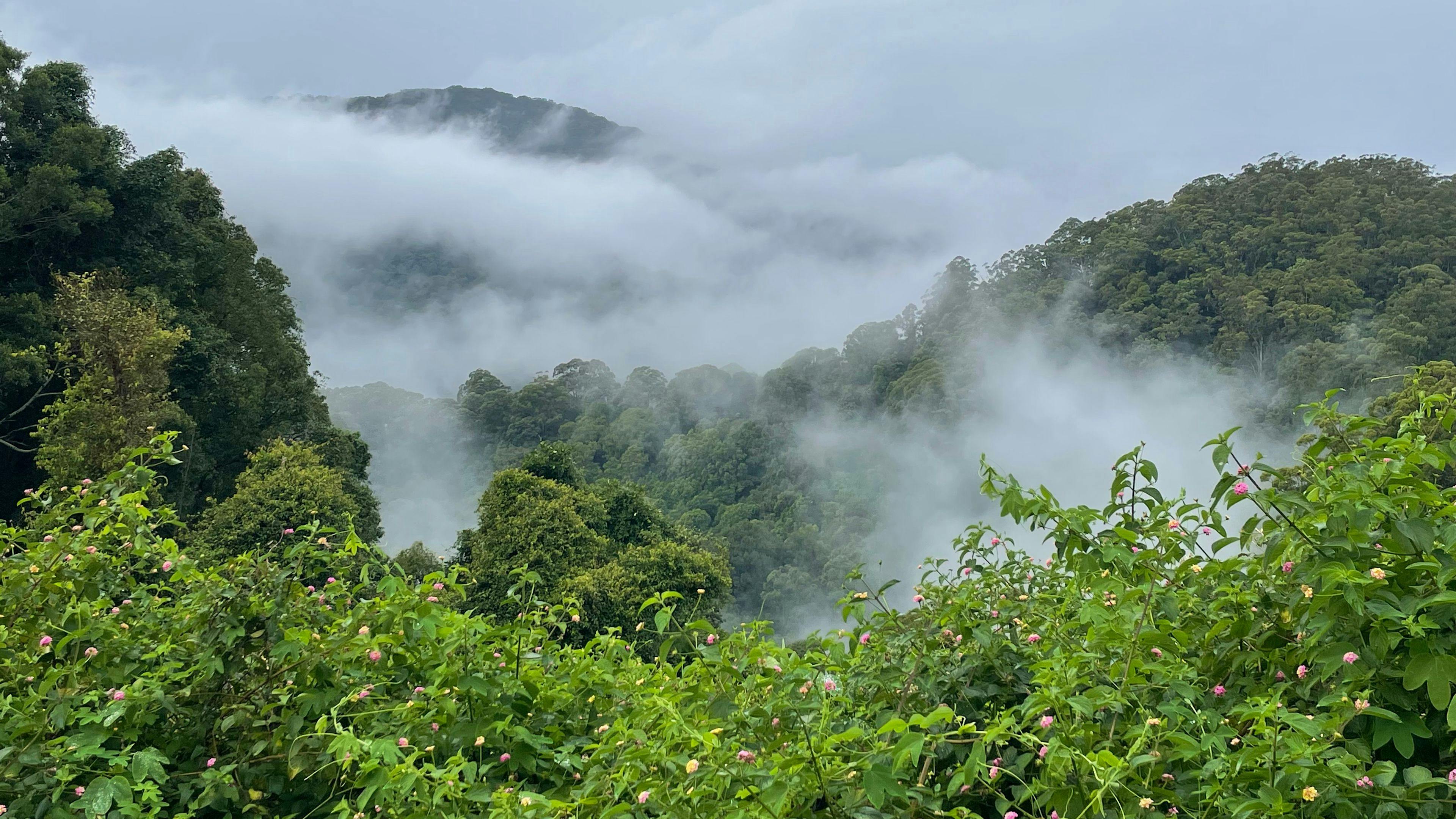 Beautiful rainclouds creeping in.