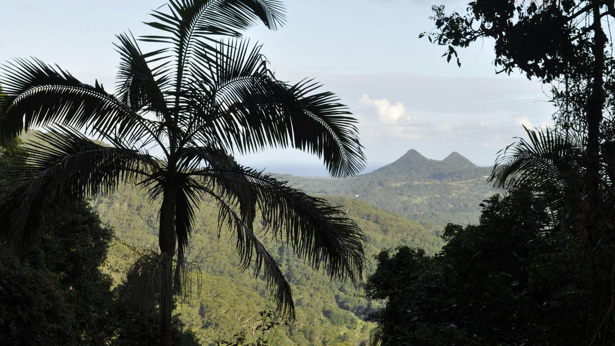Mt Chincogan