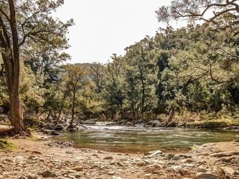 Flea Creek picnic area