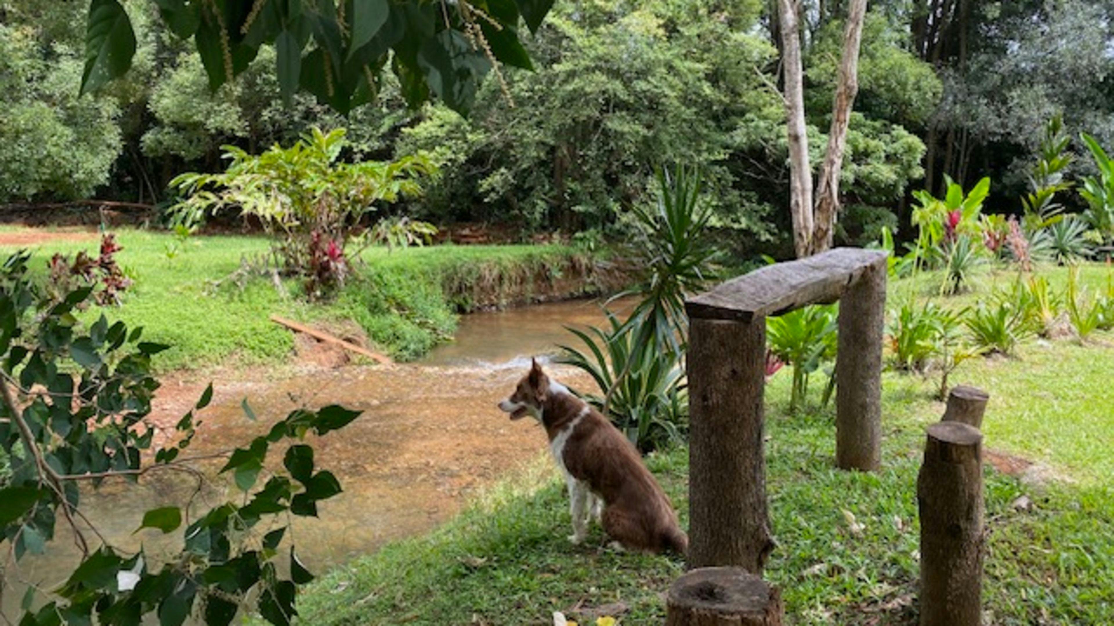 Pocket-Sized Paradise