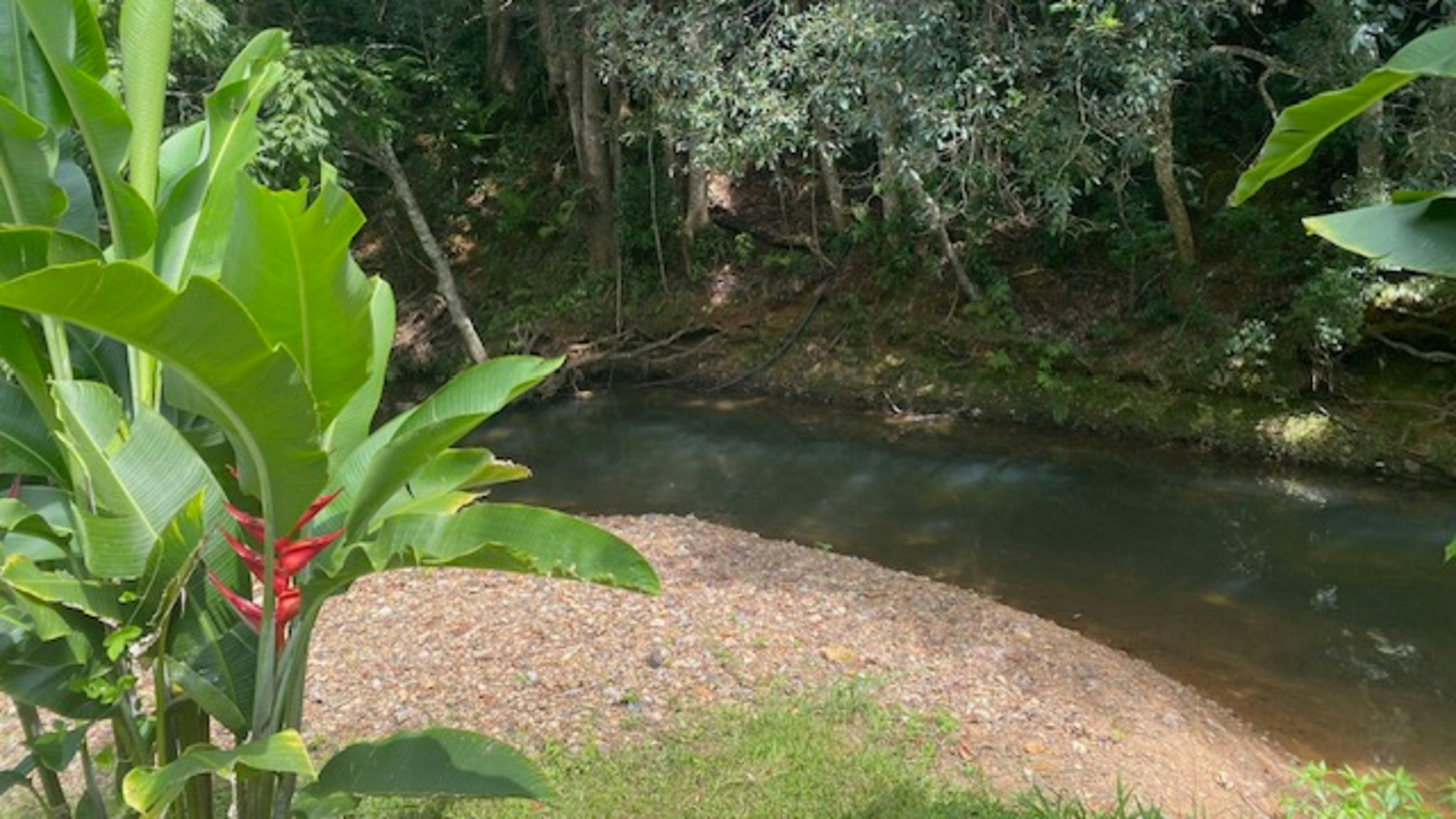 Pocket-Sized Paradise