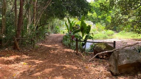 Pocket-Sized Paradise