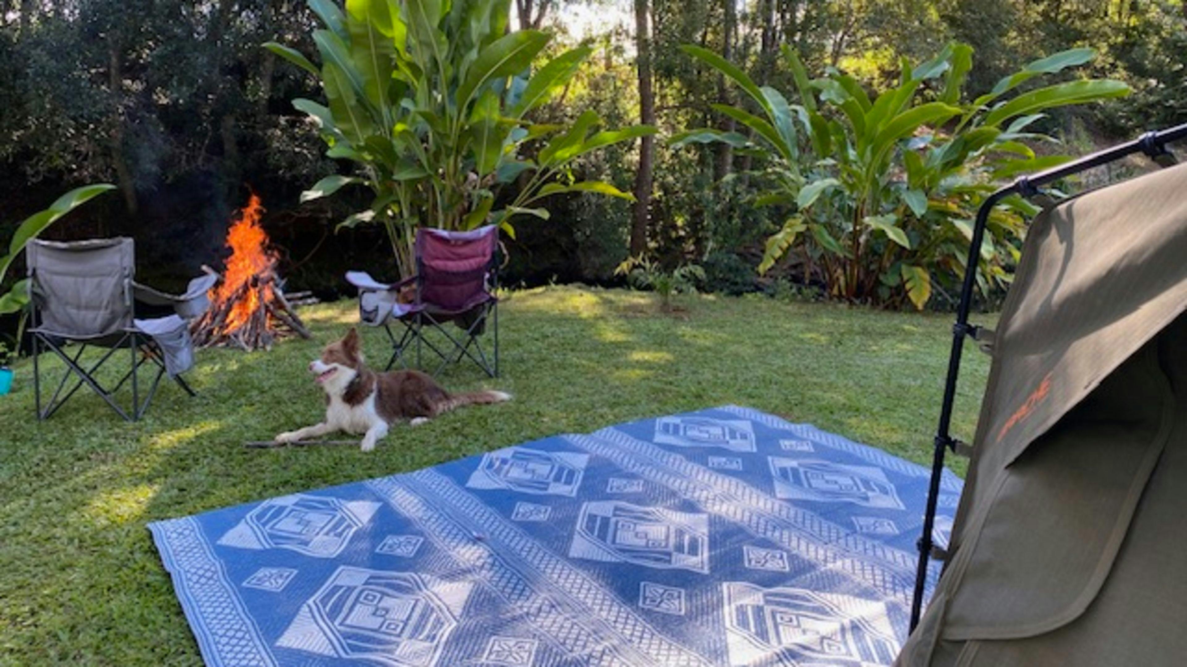 Pocket-Sized Paradise