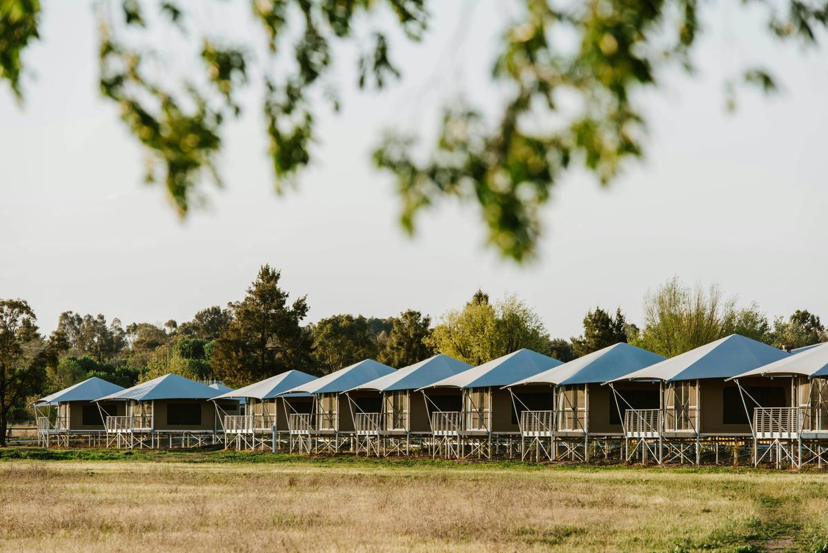 Parklands Resort Mudgee_Glamping Tent Accessible