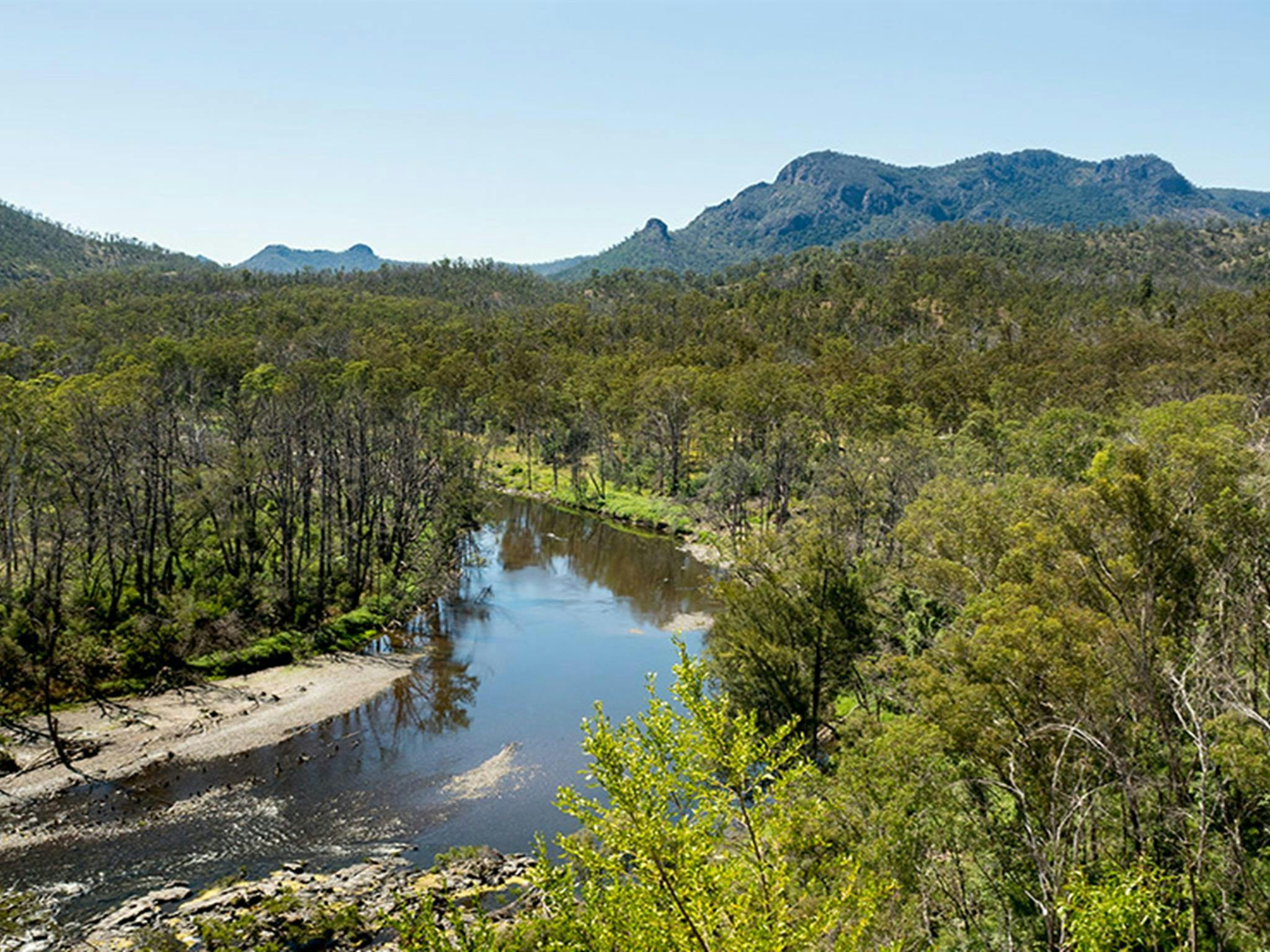 View of the Aspley River and surrounding bushland at Riverside campground and picnic area. Photo: