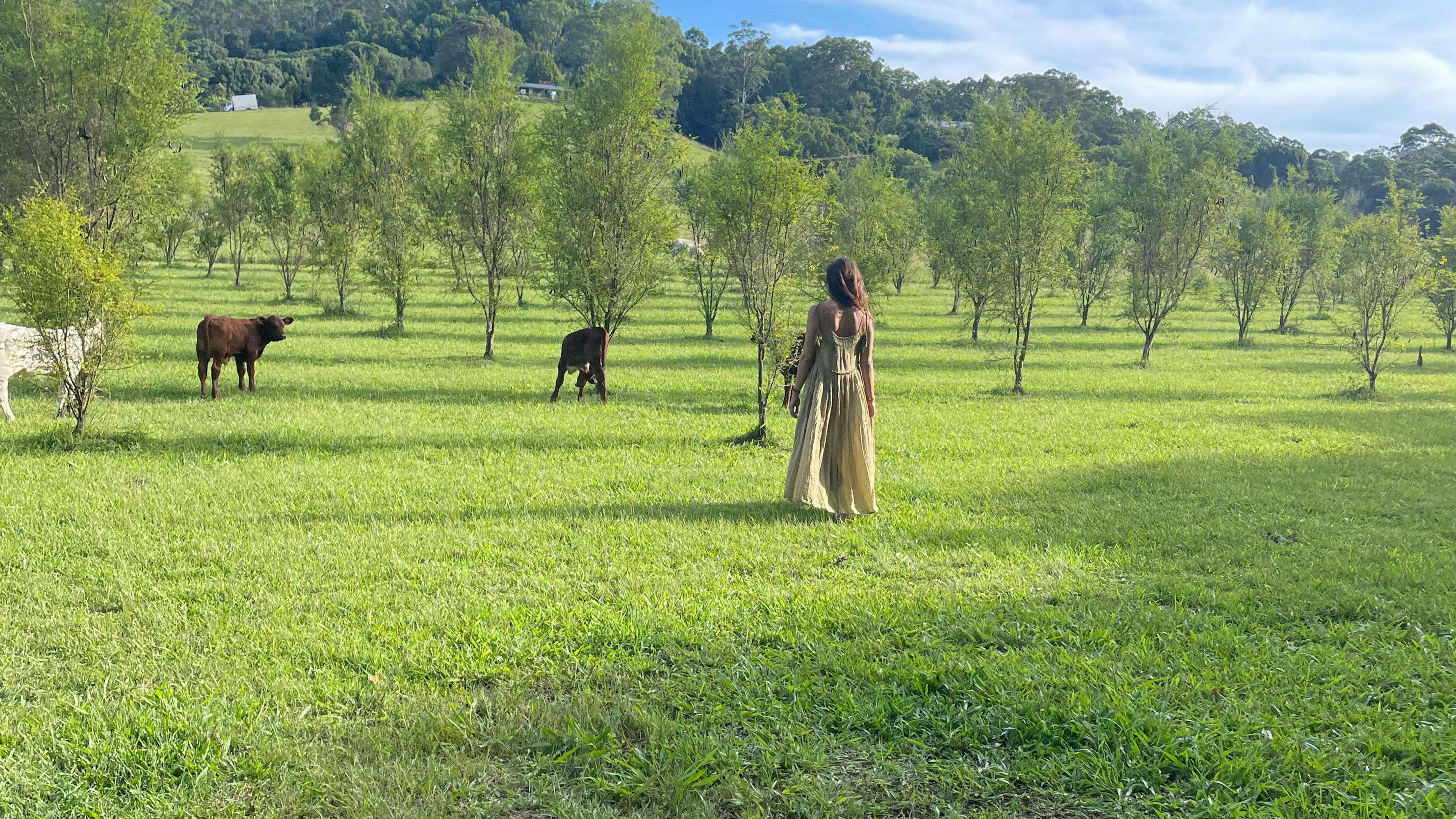 Paradise in The Pocket