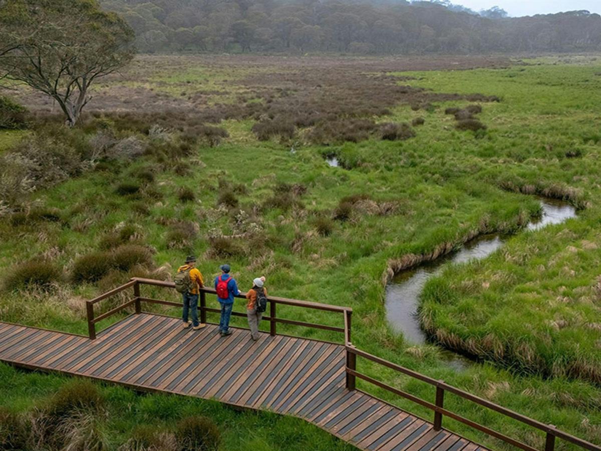 Aerial view of people on a raised boardwalk along Polblue Swamp track. Credit: John Spencer/DCCEEW