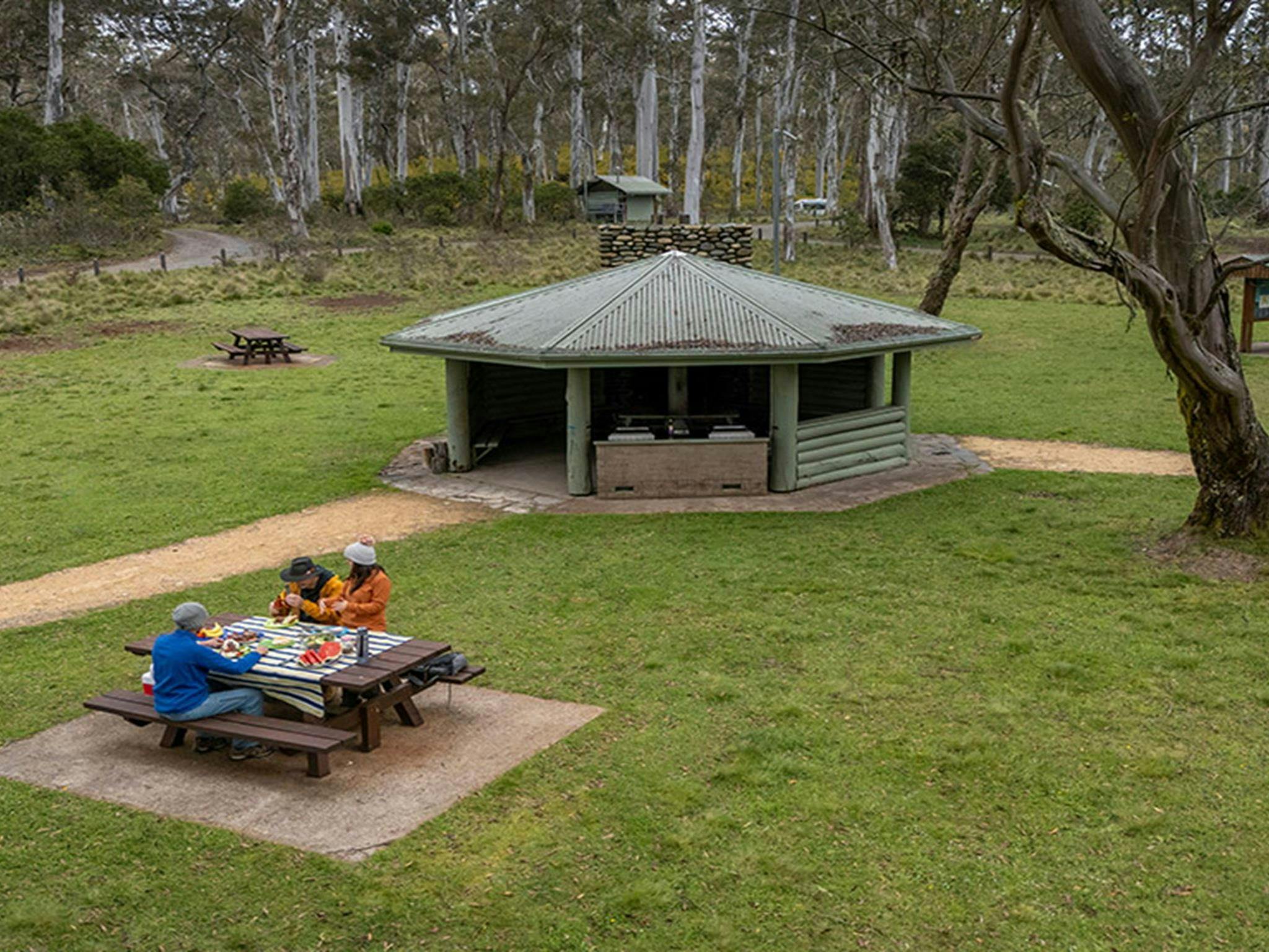 2 people eating at a picnic table near barbecue facilities under a covered pavilion in Polblue