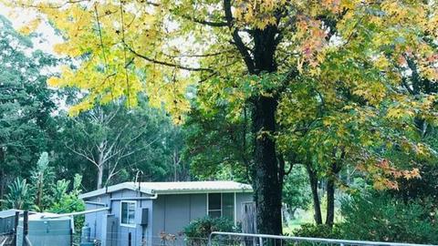 Rustyque Escape in Colo Heights