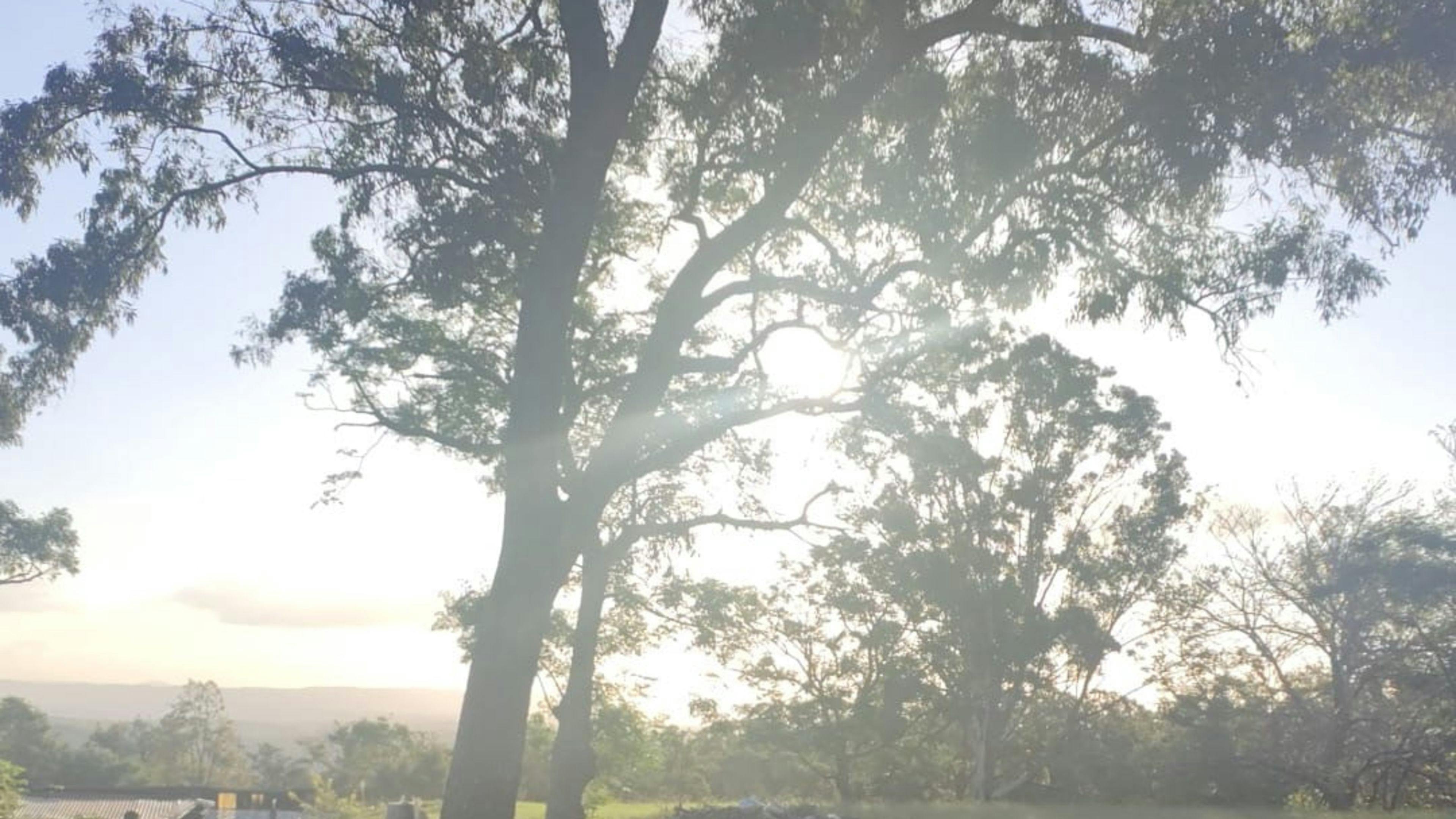 Paradise near Cattai