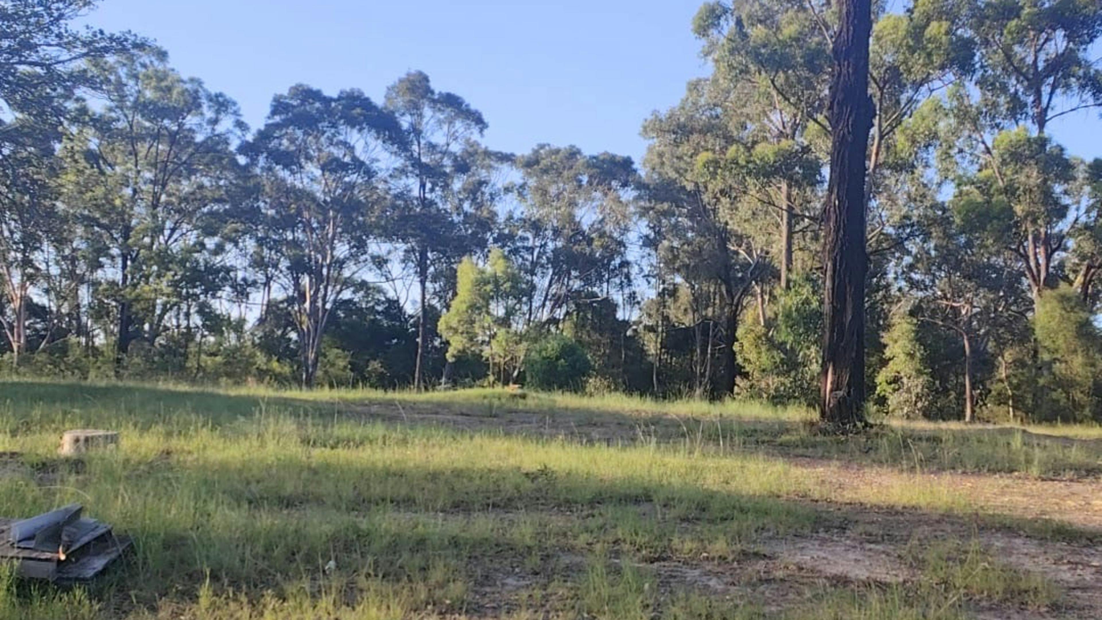 Paradise near Cattai