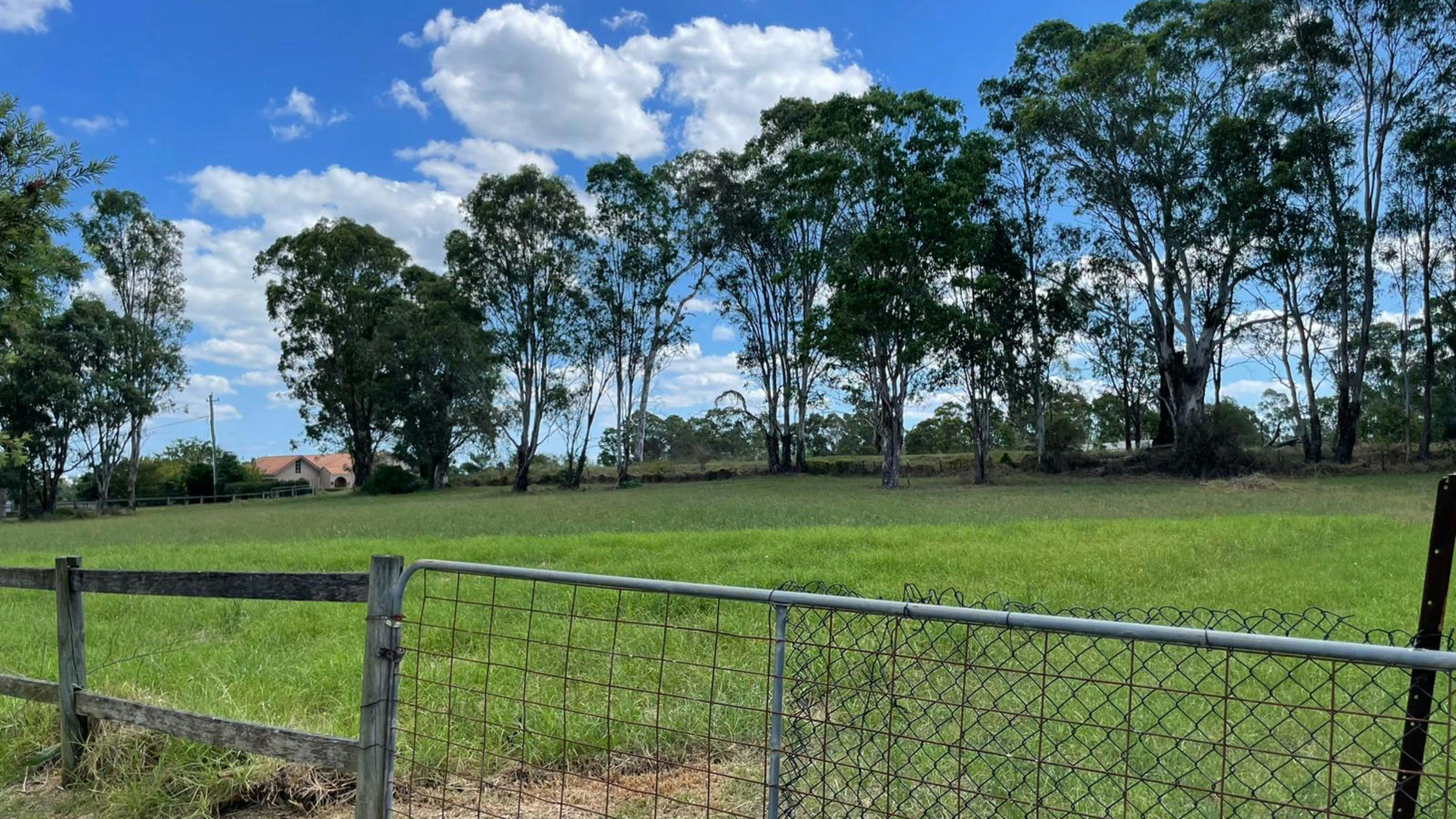 Paradise near Cattai