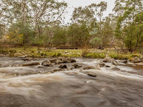 Pinch River – Moyangul campground, Kosciuszko National Park. Photo: Murray Vanderveer &copy; DPIE