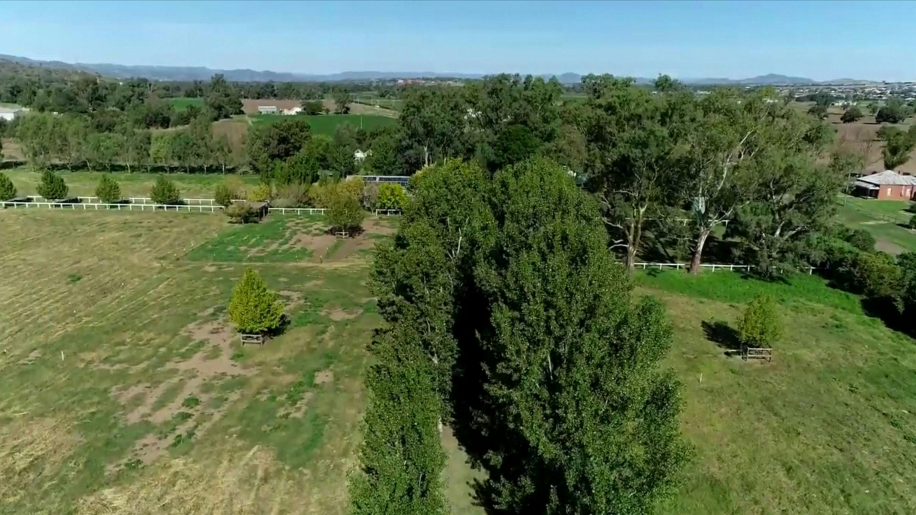 Looking back towards the campsite amongst the trees