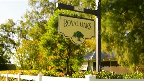 Royal Oaks