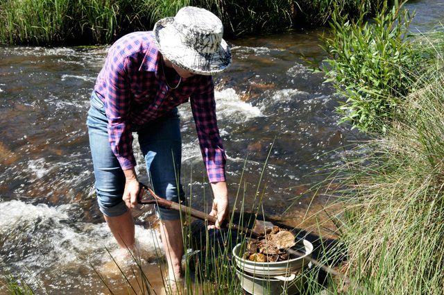 Fossicking in Oberon