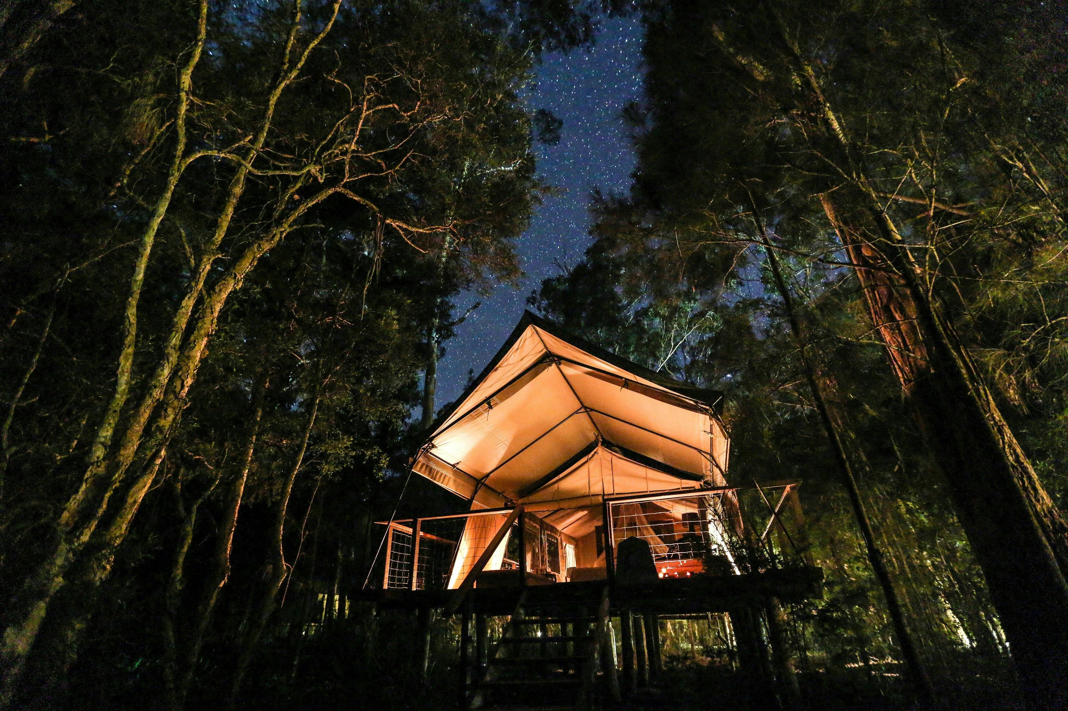Under a starry sky at Paperbark Camp