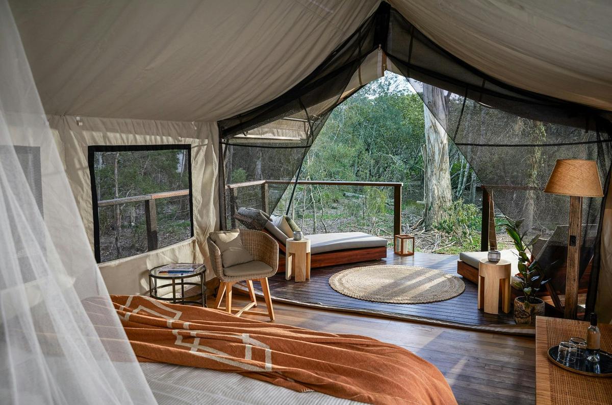 Deluxe Safari Tent Interior