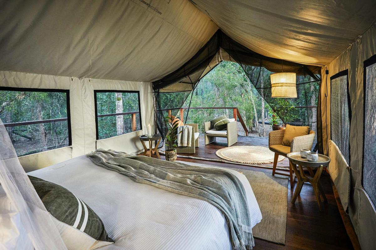 Deluxe Safari Tent