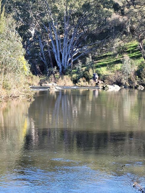 Robyne's River Retreat