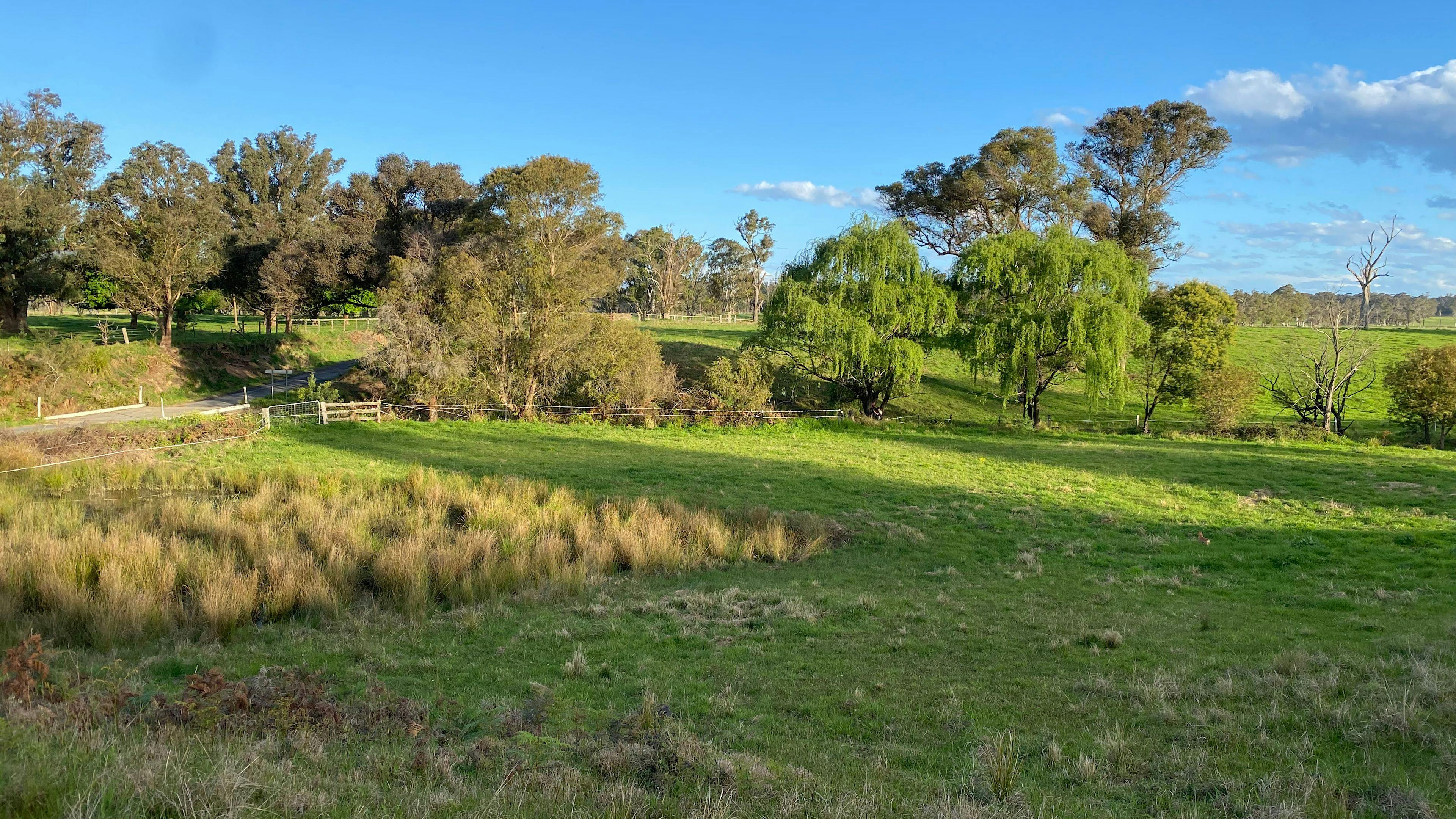 Quiet paddock on a country lane