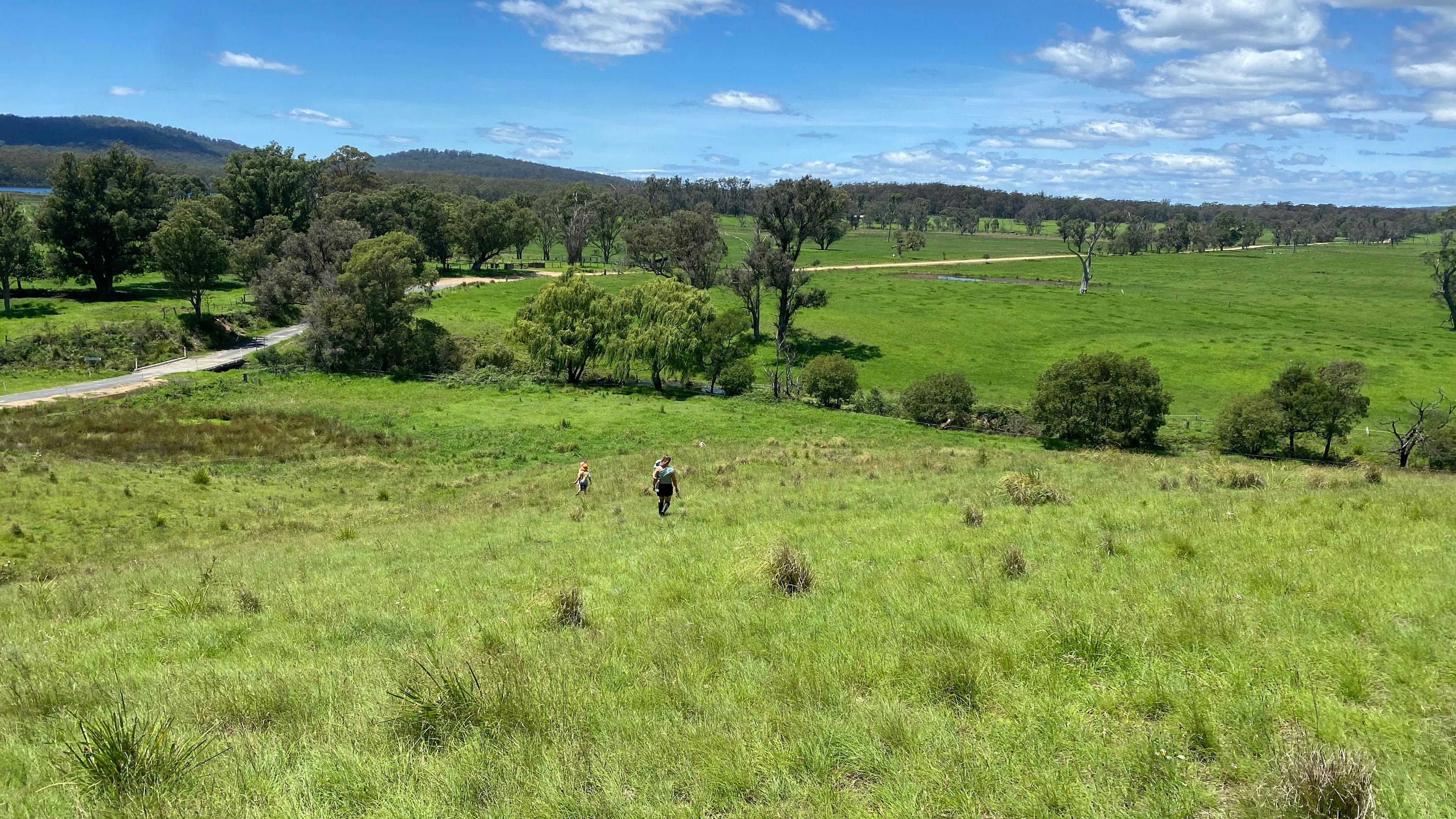 Quiet paddock on a country lane