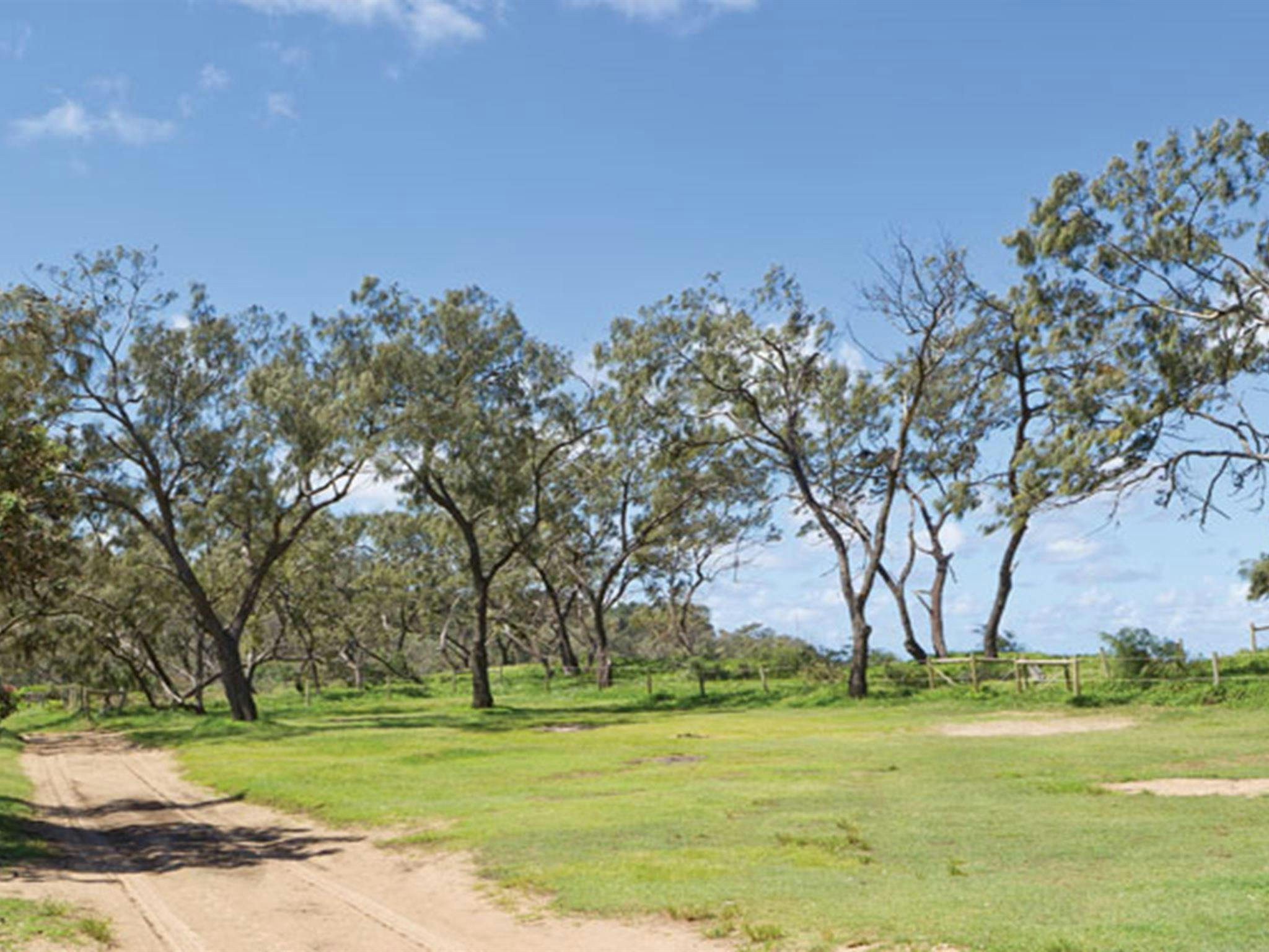 Grass and trees at Pebbly Beach campground. Photo: Rob Cleary/DPIE