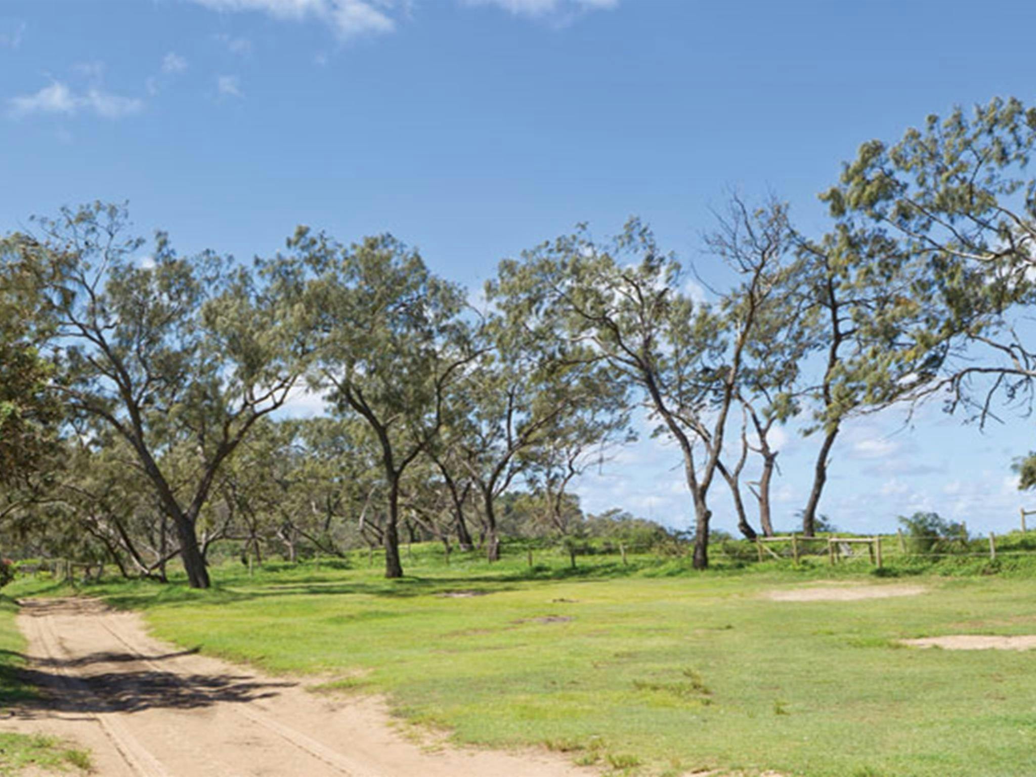 Grass and trees at Pebbly Beach campground. Photo: Rob Cleary/DPIE