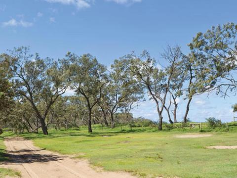 Grass and trees at Pebbly Beach campground. Photo: Rob Cleary/DPIE