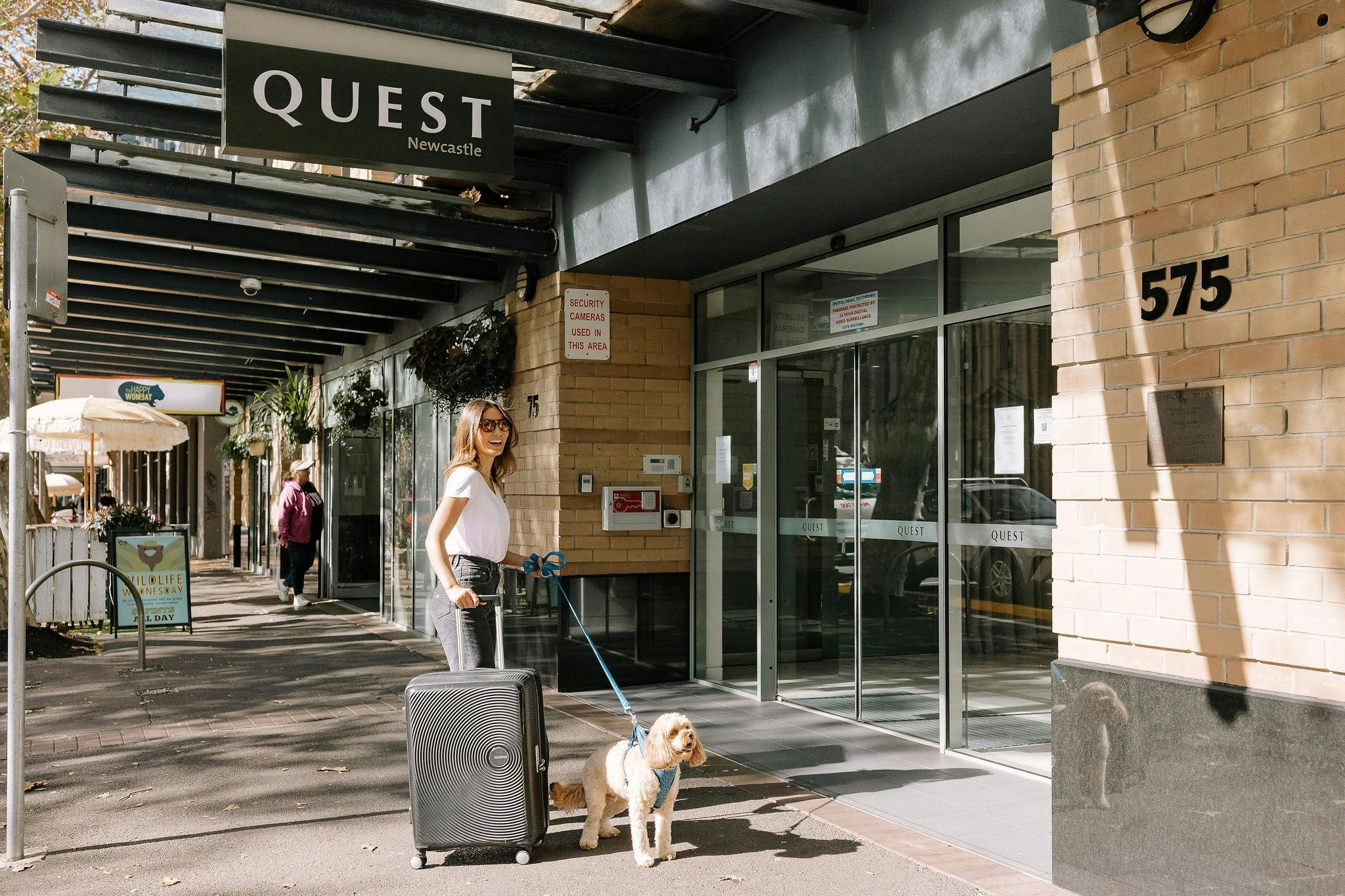 Pet friendly accommodation