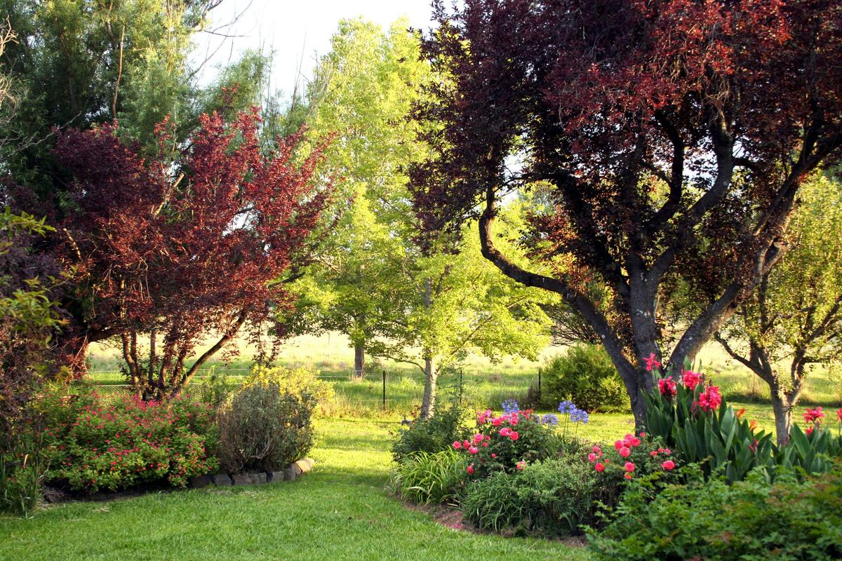 Wander through the garden