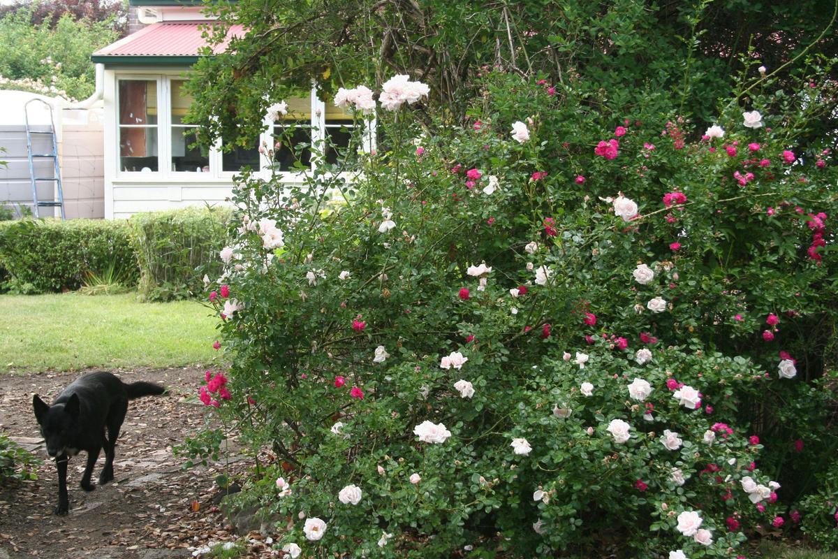 Two acres of garden to enjoy