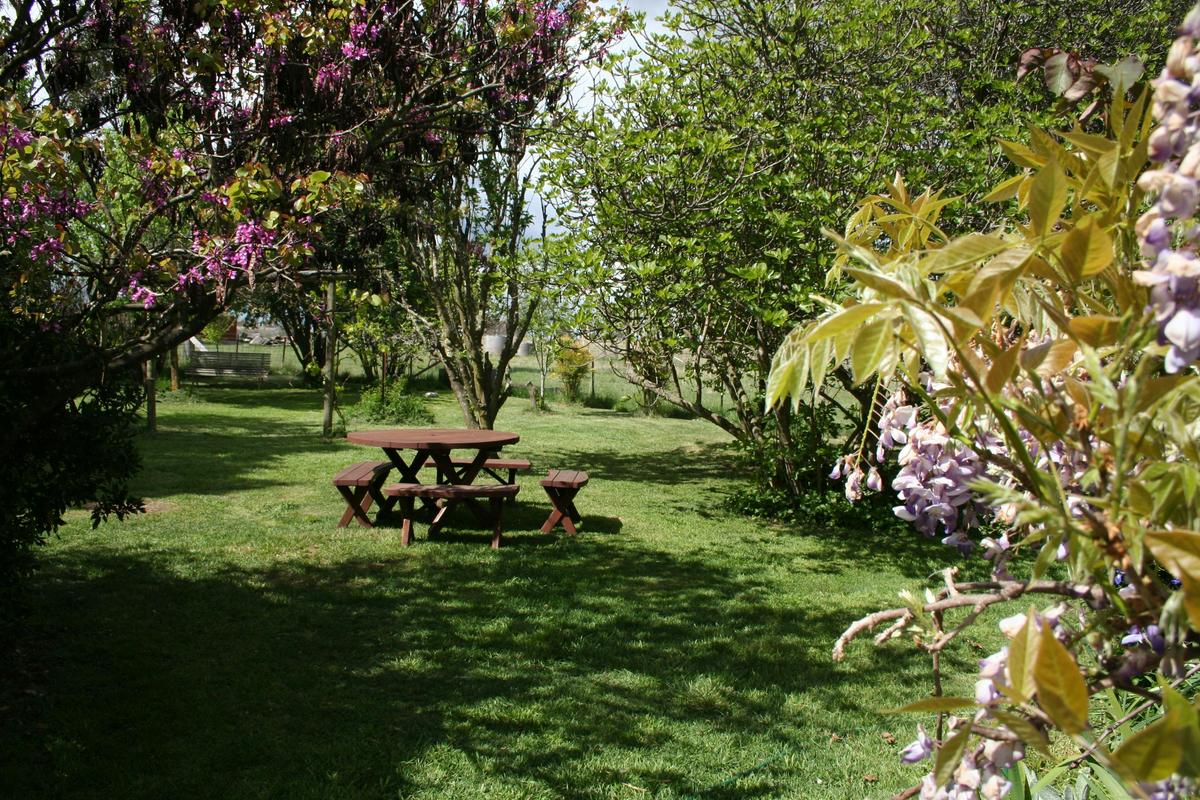 Springtime in the garden