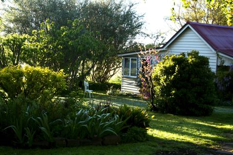 Early morning frost in Spring