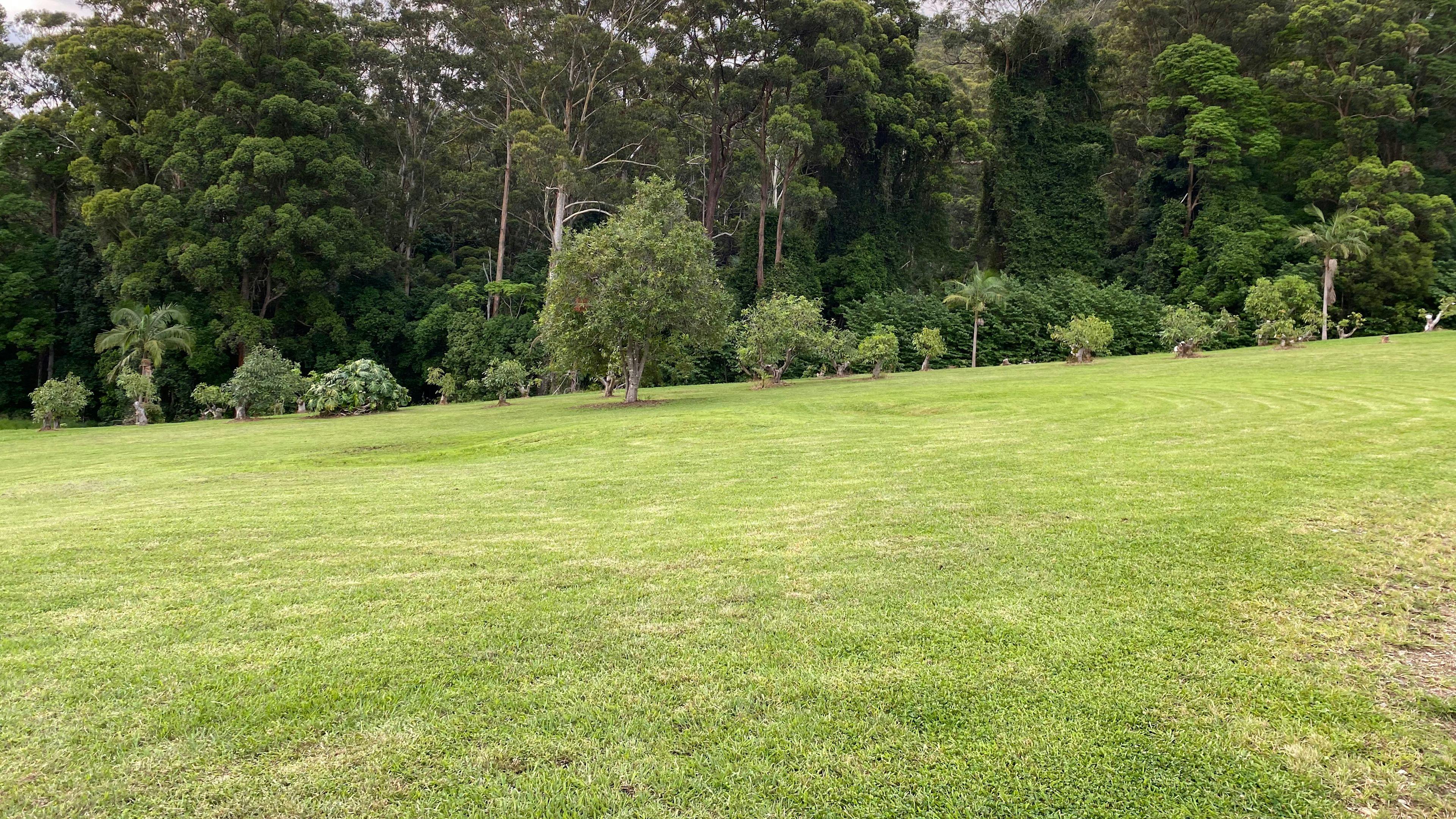 Pony paddock (level site in middle)