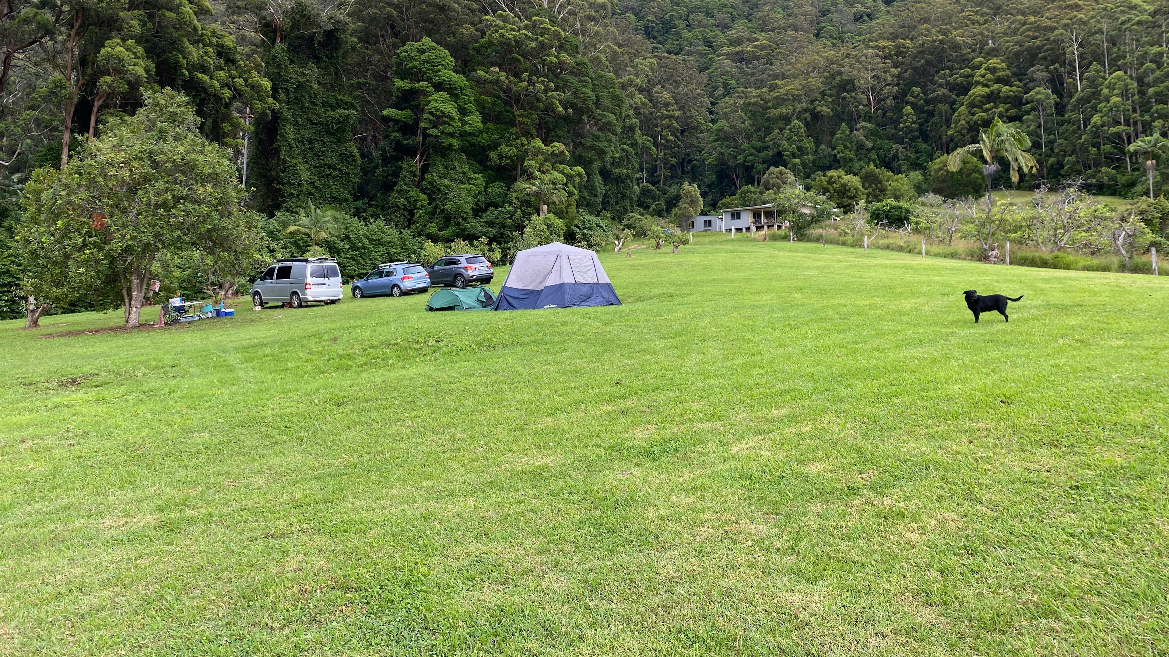 Pony paddock campers