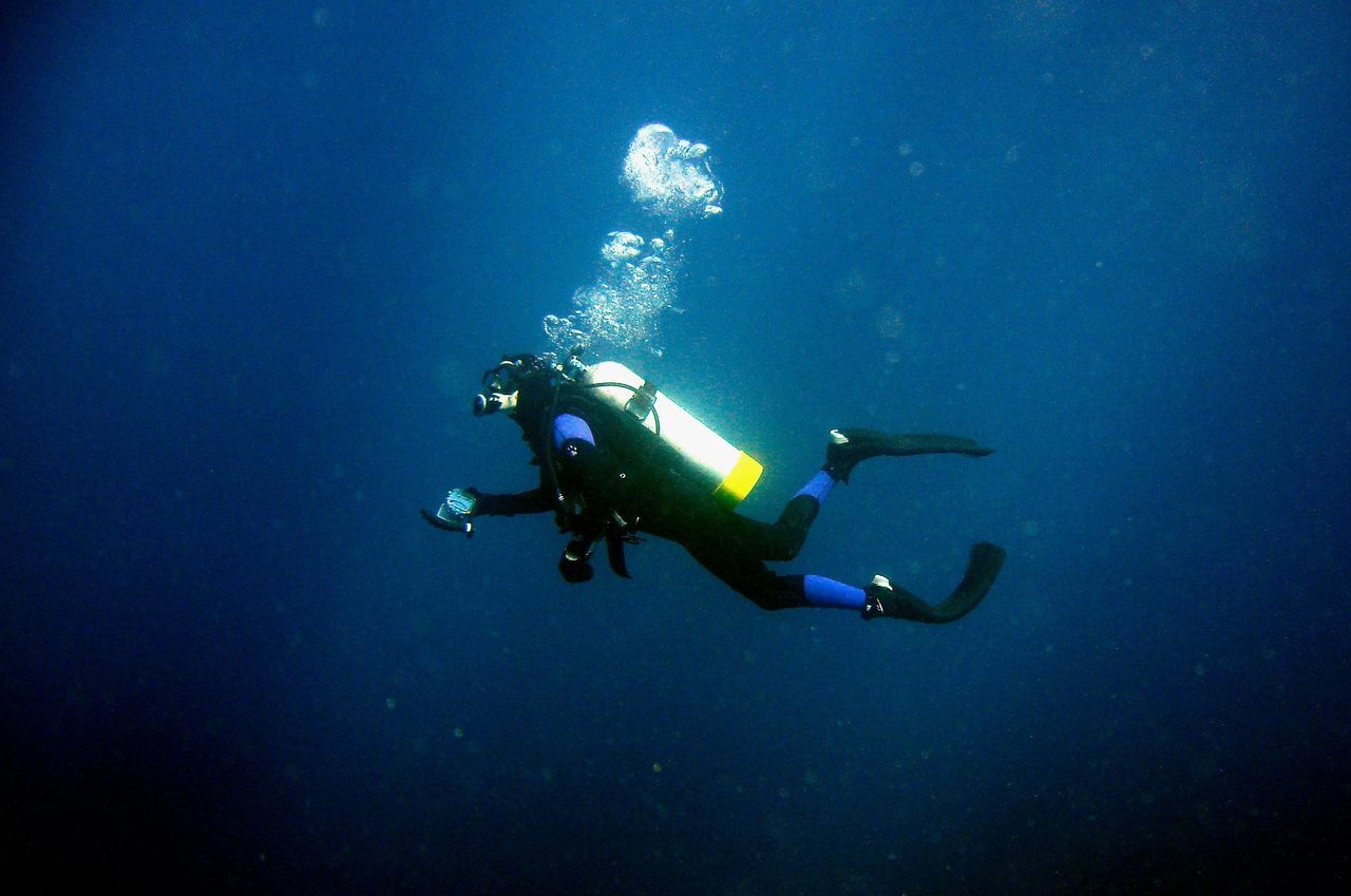 Pro dive tour Lord Howe Island