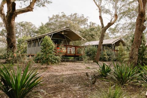 Glamping Plus