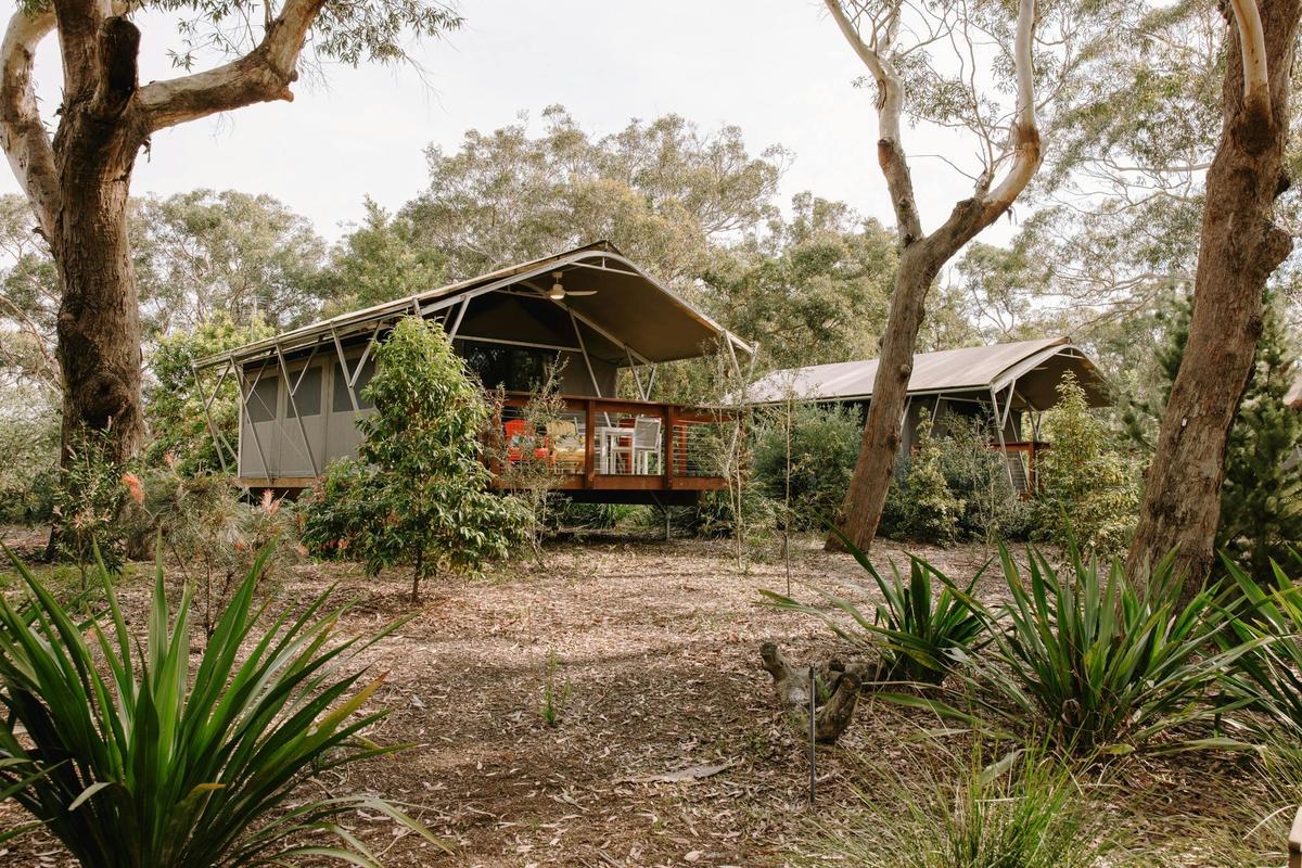 Glamping Plus
