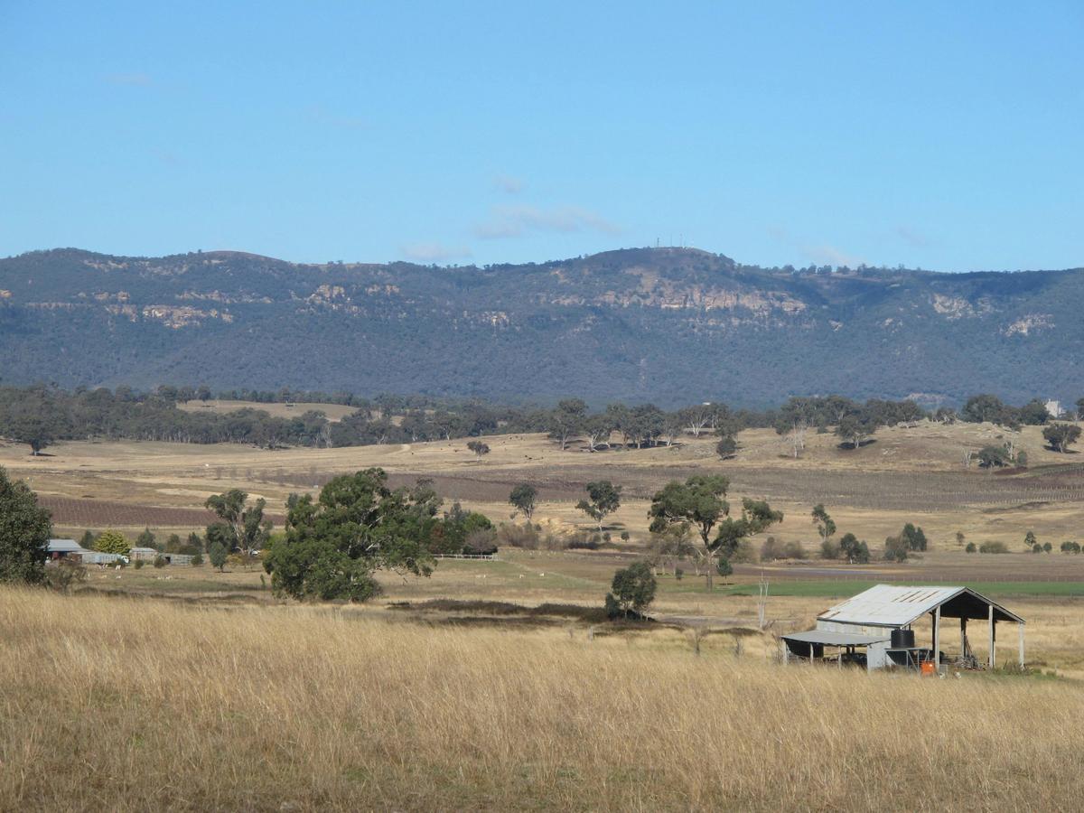 Back paddock walk