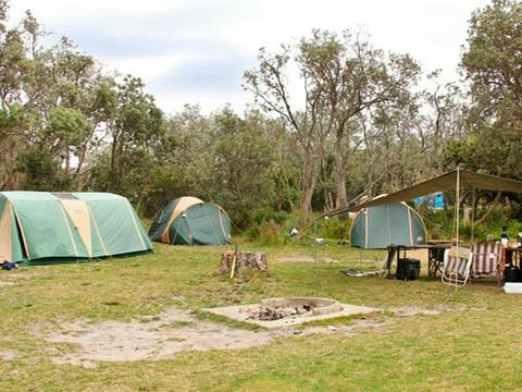 Picnic Point Campground, Mimosa Rocks National Park. Photo: John Yurasek Copyright: NSW Government