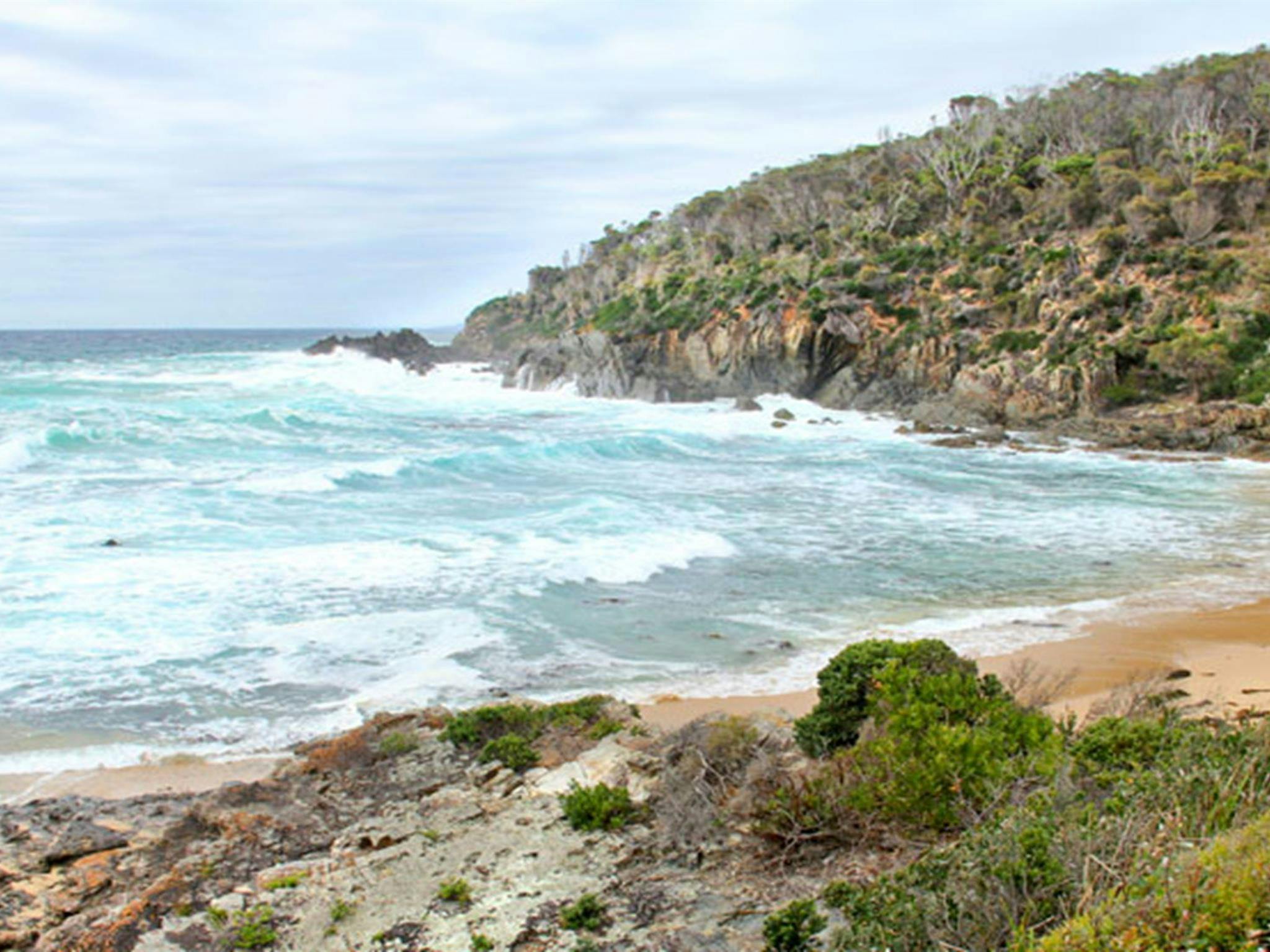 Picnic Point, Mimosa Rocks National Park. Photo: John Yurasek Copyright: NSW Government