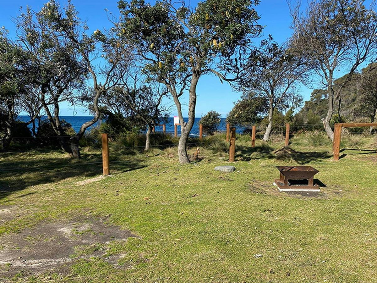 Campsite 12 with distant ocean view behind the trees at Picnic Point campground. Credit: &copy;
