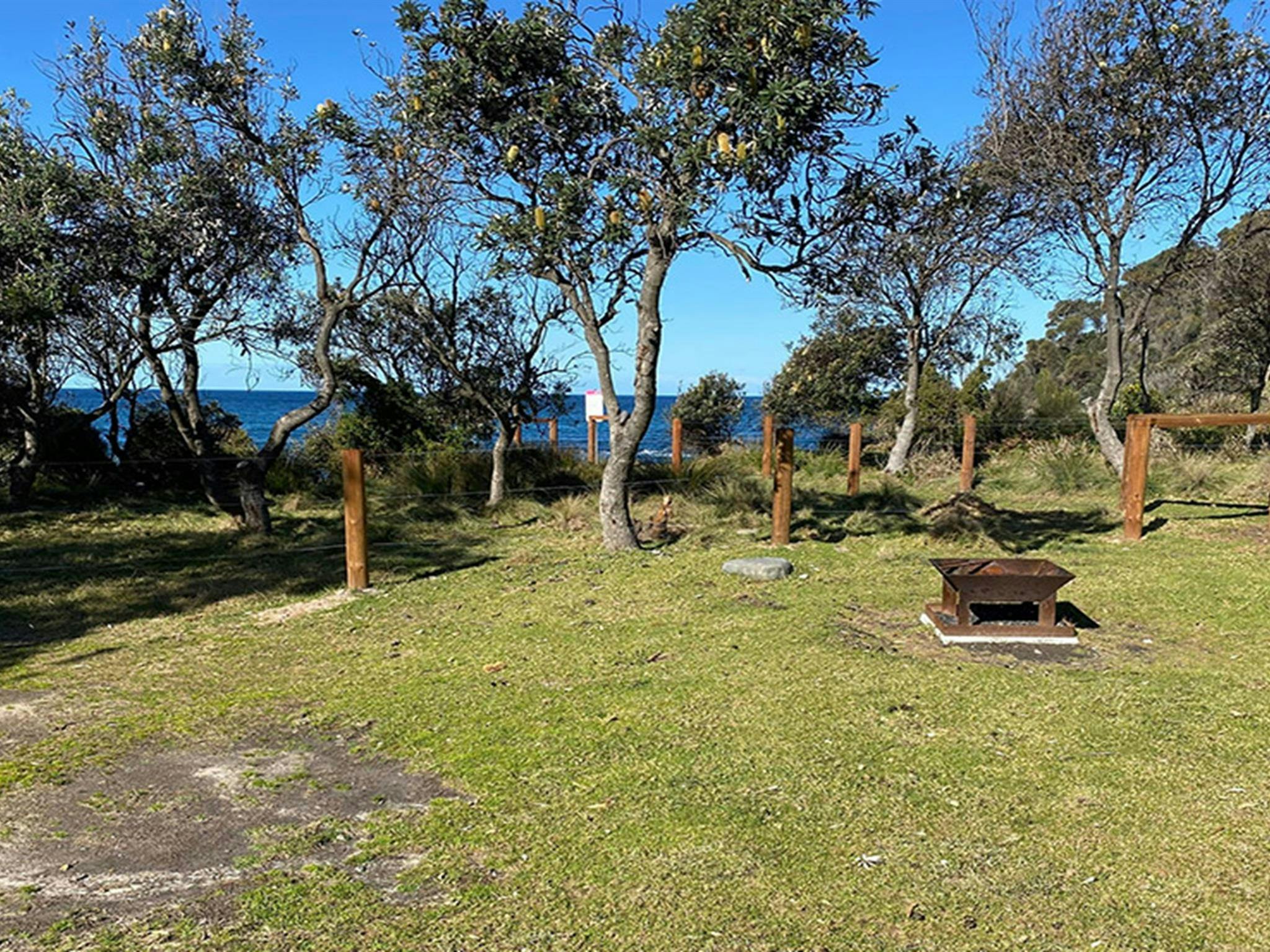 Campsite 12 with distant ocean view behind the trees at Picnic Point campground. Credit: &copy;