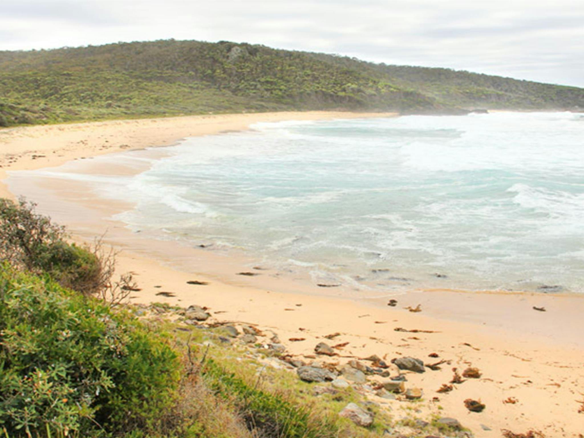Picnic Point, Mimosa Rocks National Park. Photo: John Yurasek Copyright: NSW Government