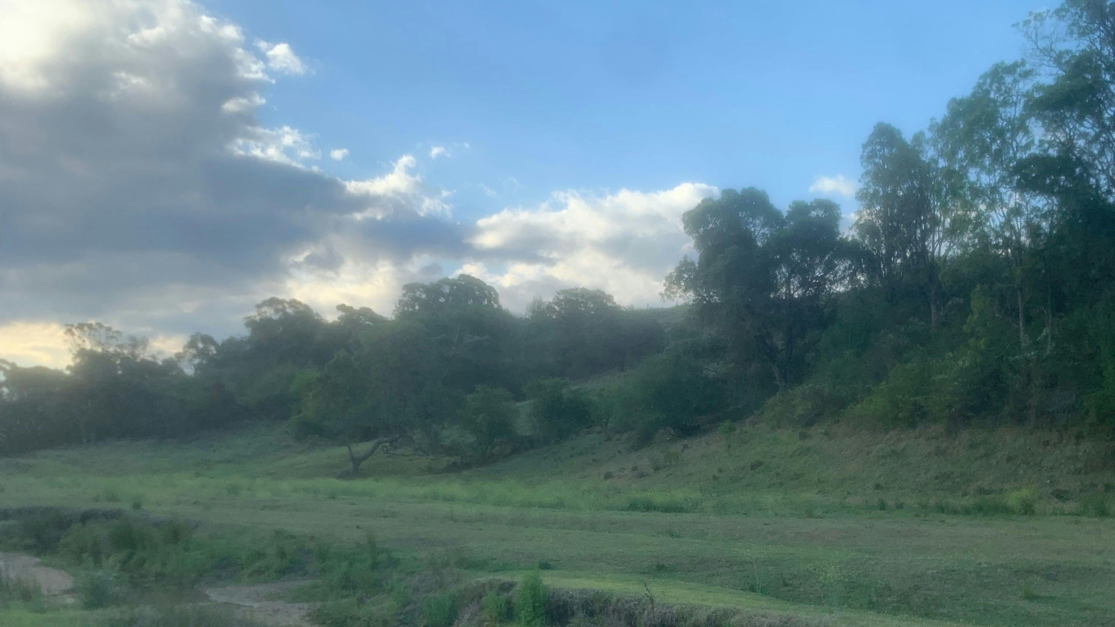 Our little creek running through our property