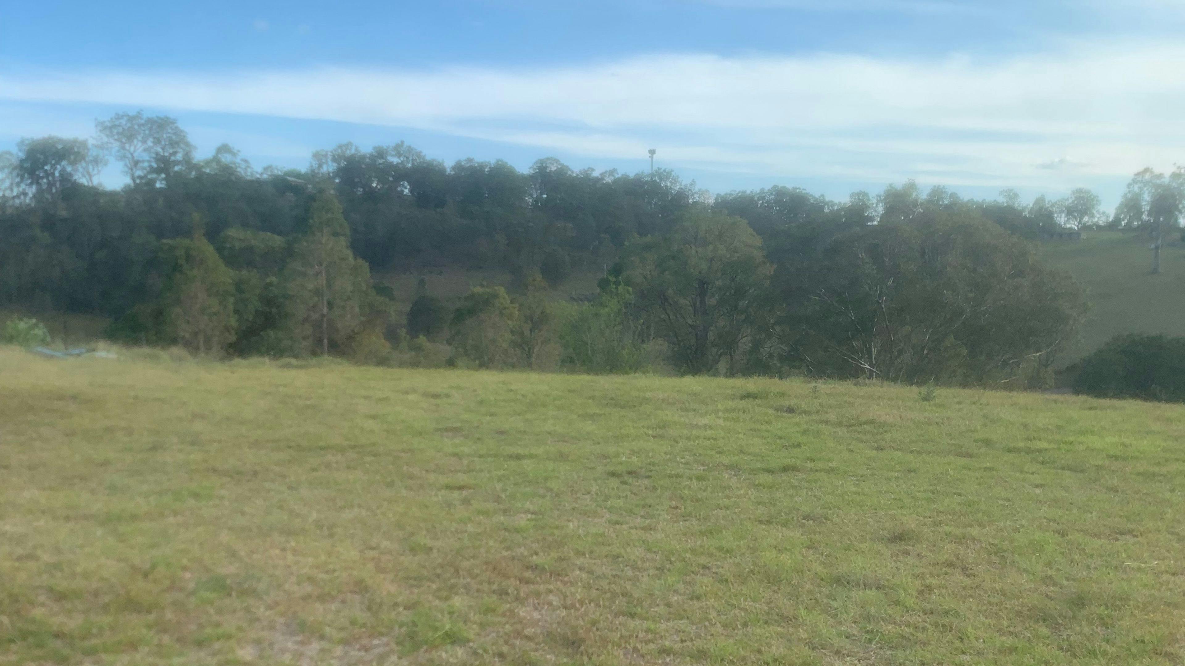 A grassed area for you to park 