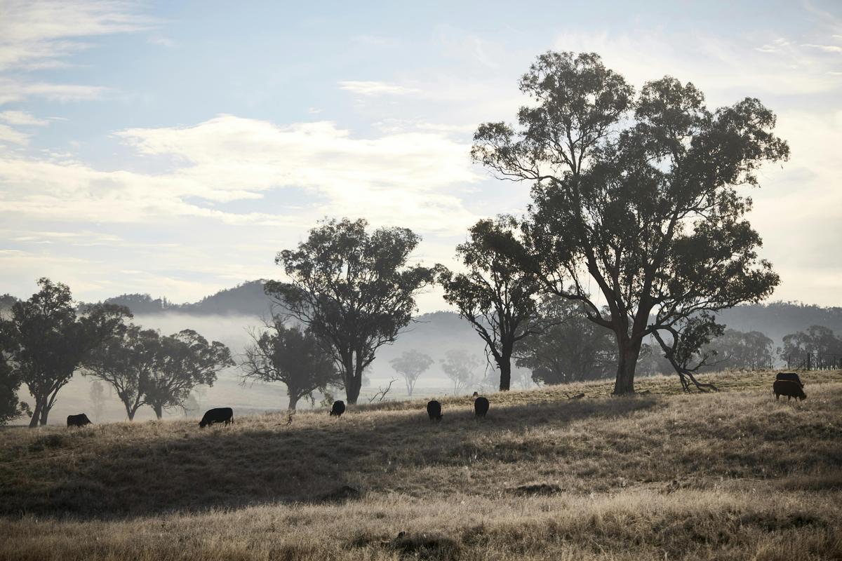 Rosby Guesthouse Landscape