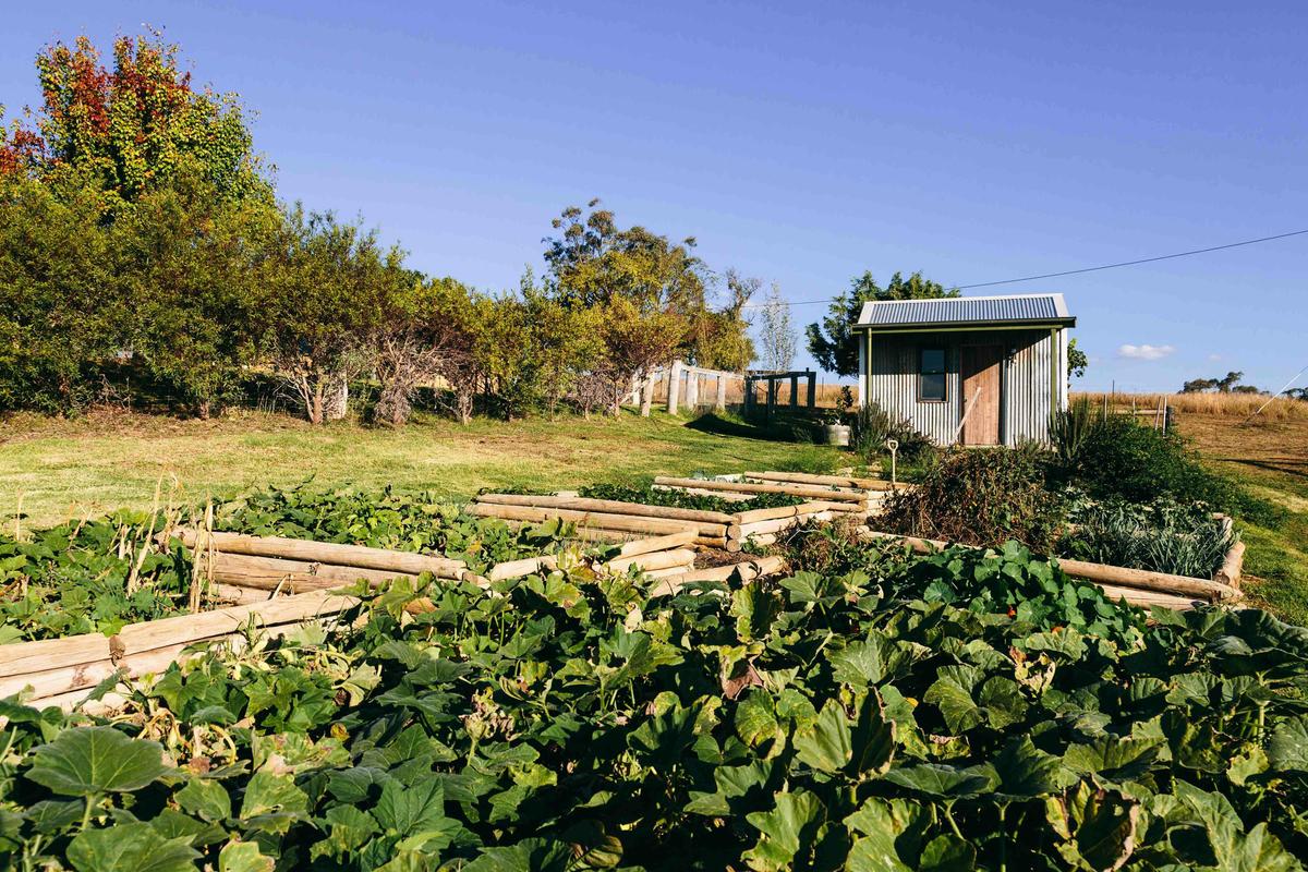 Rosby Guesthouse Vege Garden