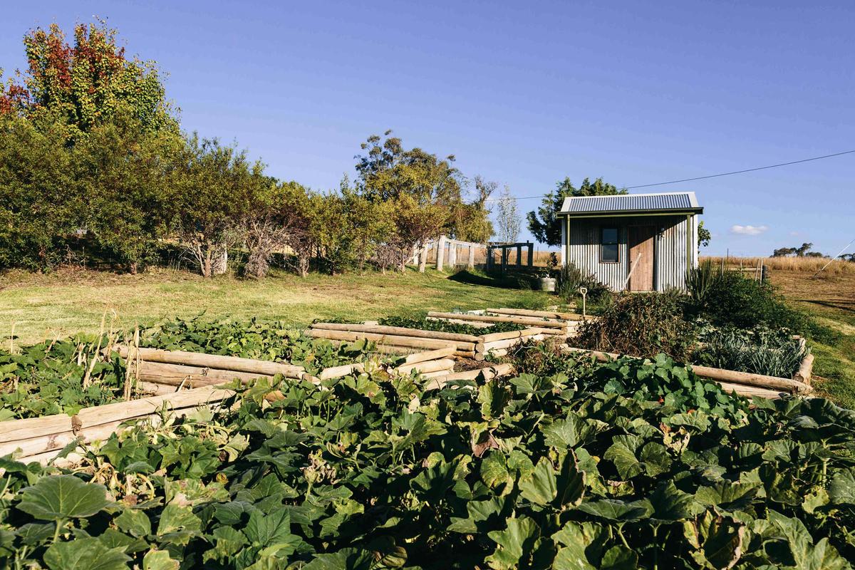 Rosby Guesthouse & Studio